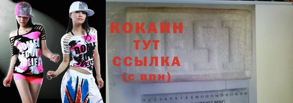 шишки Краснослободск