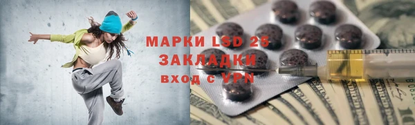 шишки Краснослободск