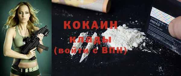 шишки Краснослободск
