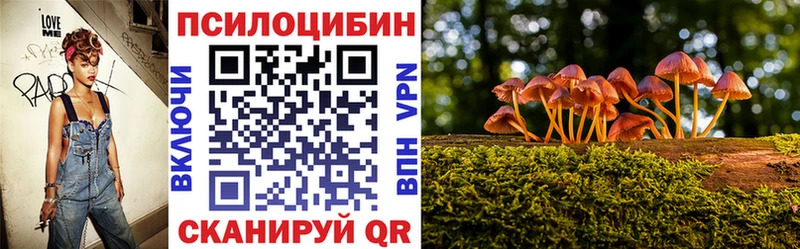 Купить где  Артёмовск  Псилоцибиновые грибы мицелий 